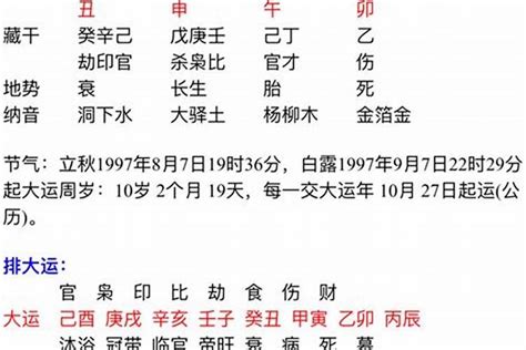 八字金旺的人|简单学八字 